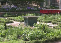 Tavola in the Flemish Garden