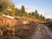 The Walled Garden in November 2013